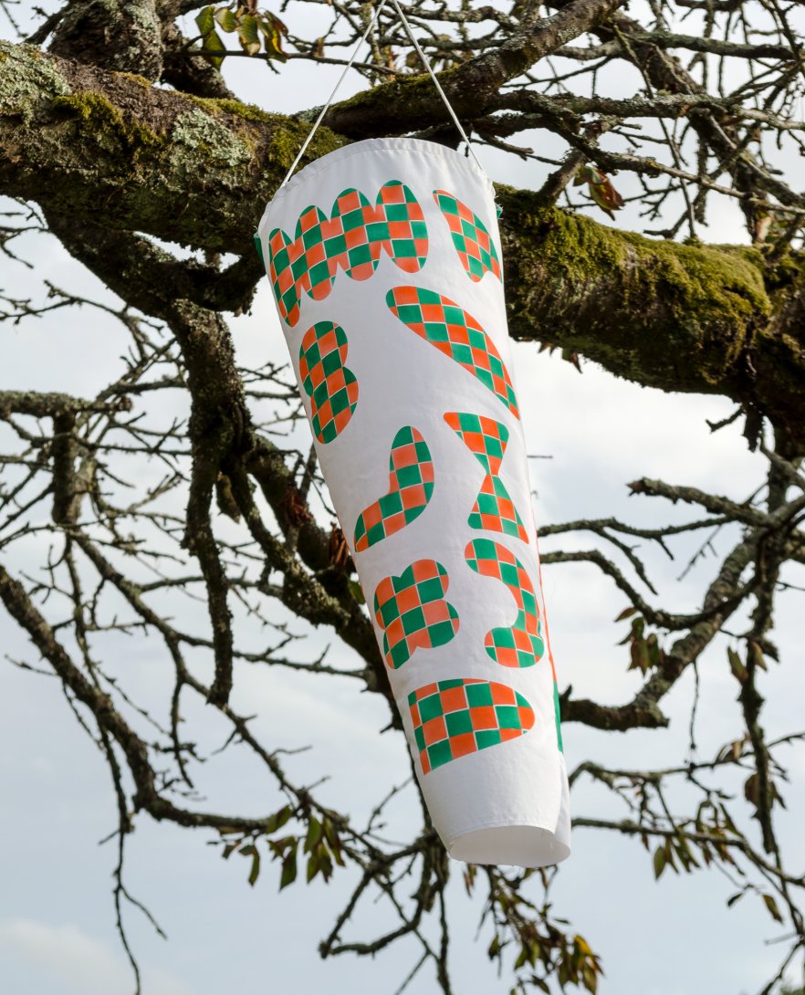 *Soudain l’été prochain* 2025, Justine Eliès et Arthur Heilporn, Restitution dans l’espace public du projet “Bon Vent” mené au Syndicat d’initiative de la Chapelle-Montligeon, 30 août 2025. Photo : Justine Eliès et Arthur Heilporn