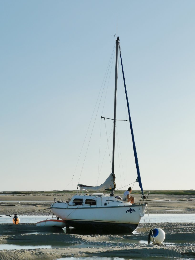 *Soudain l’été prochain* 2023, Collectif Caboisett, Mairie de Tourneville-sur-Mer. Photo : Collectif Caboisett