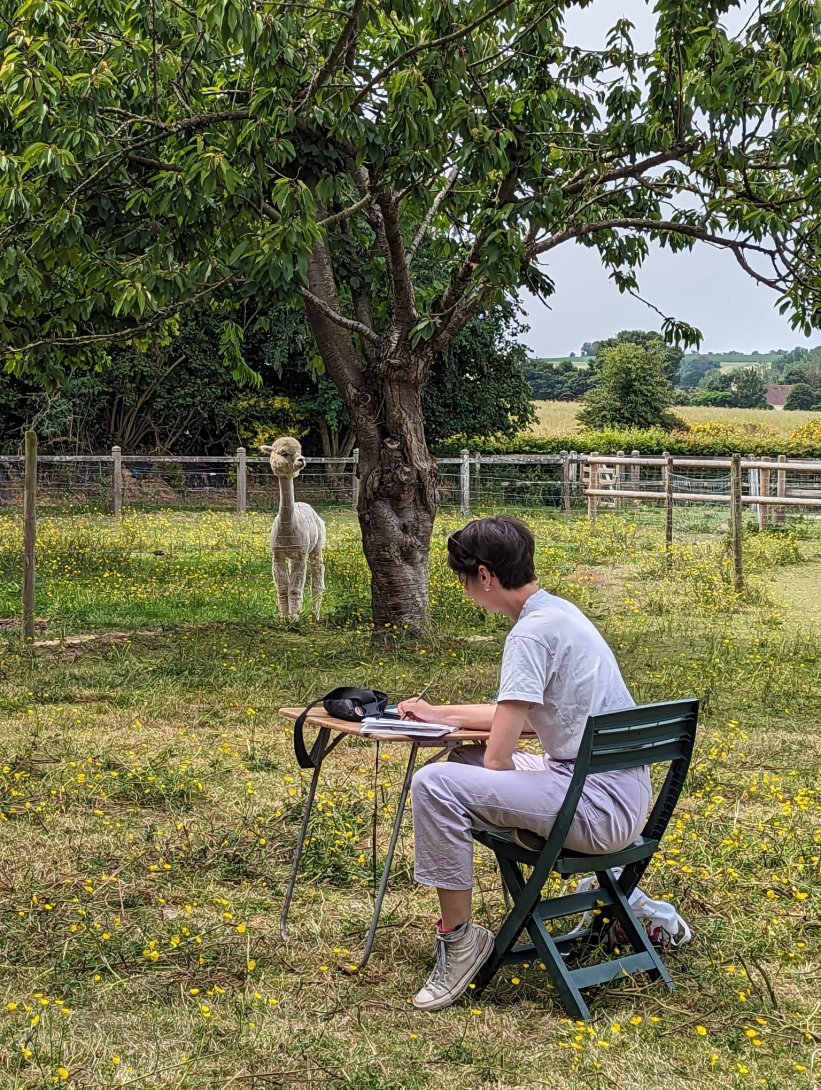 *Soudain l’été prochain* 2023, Nora Sardi, ALPAGA NORMANDIE, Bayeux. Photo : Amaury Achard