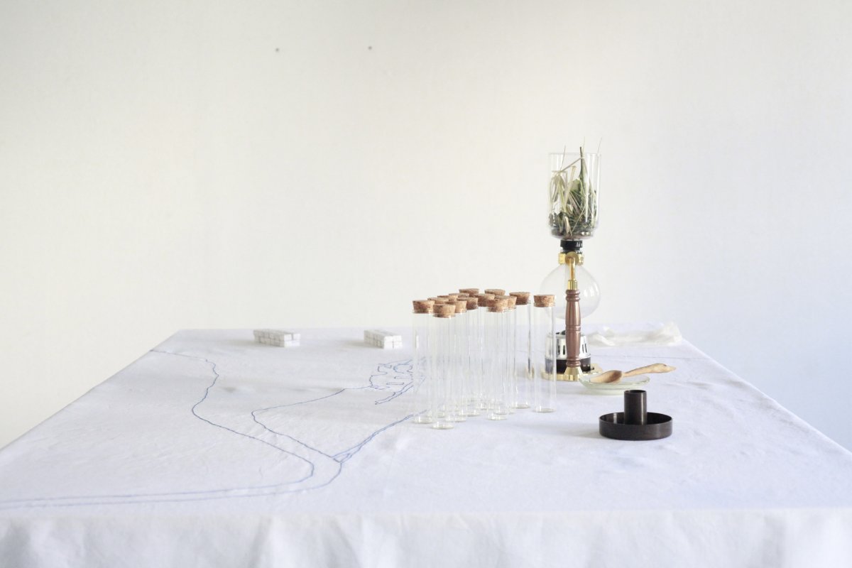 Alice Baude