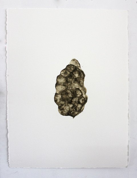 Edith Longuet-Allerme