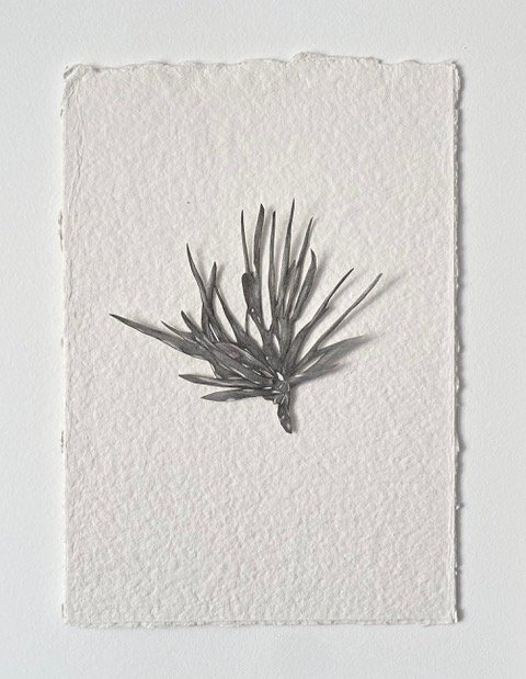 Edith Longuet-Allerme