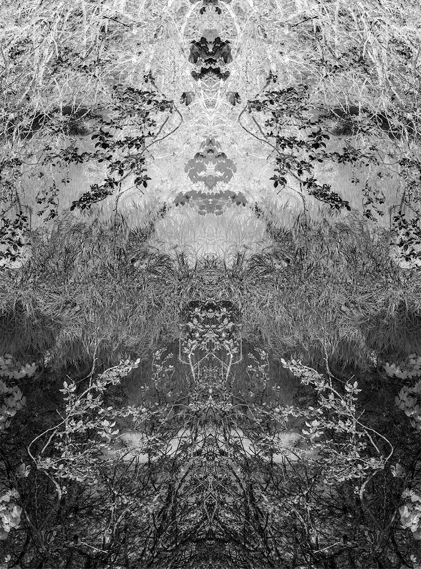 Sébastien Camboulive