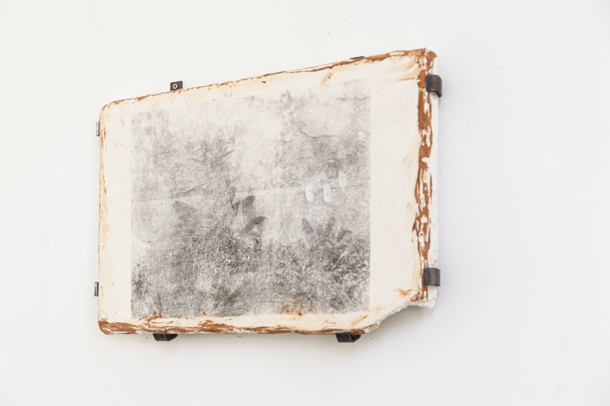 Sonia Martins Mateus