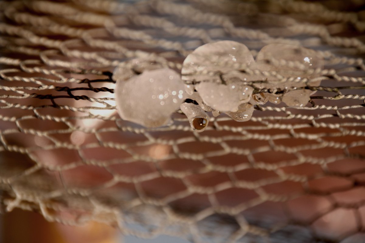 Virginie Levavasseur