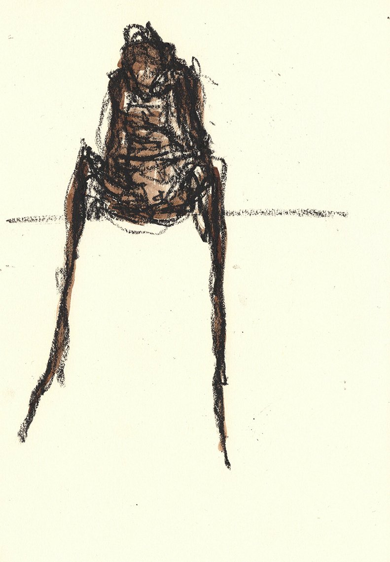 Virginie Levavasseur