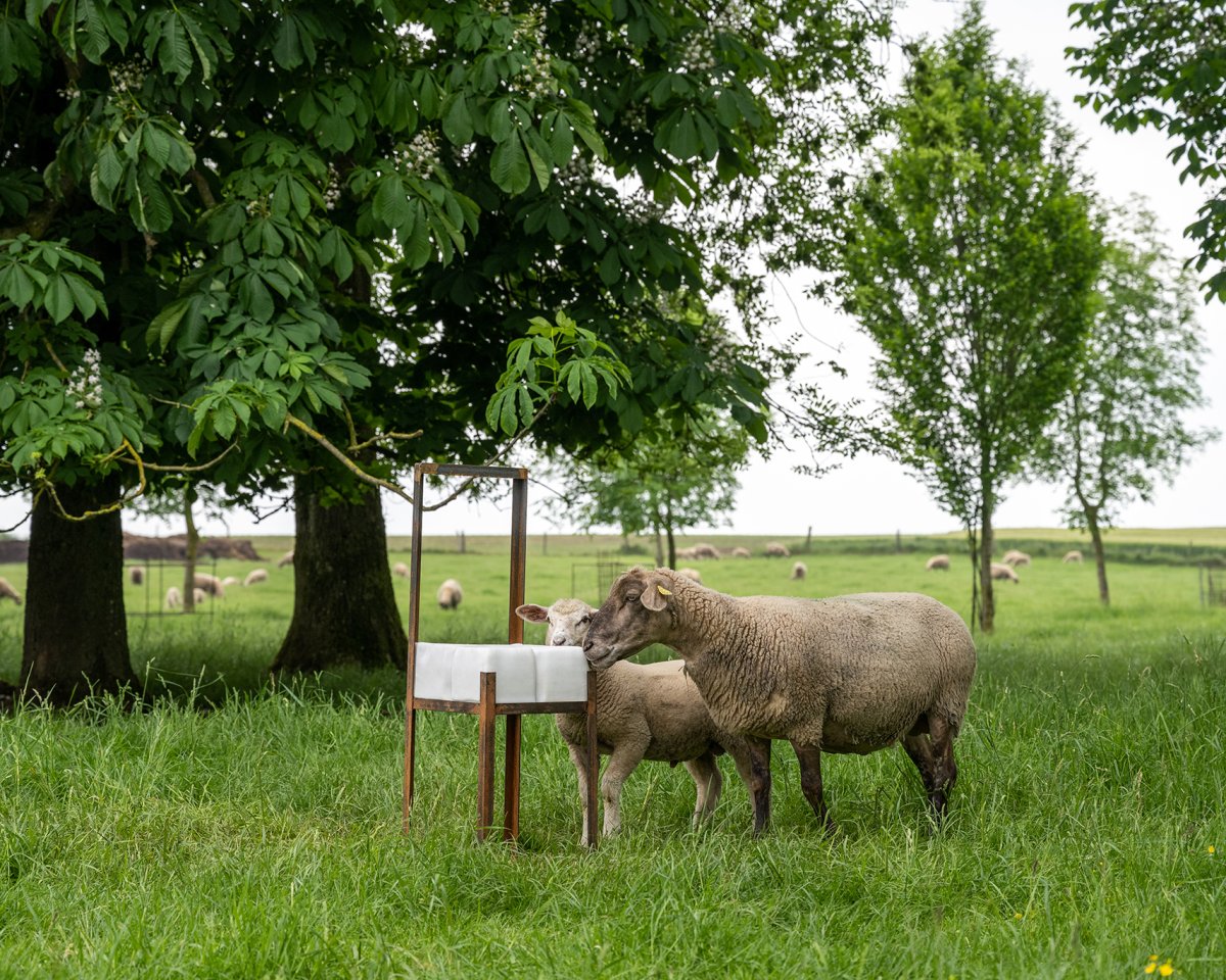 Virginie Levavasseur